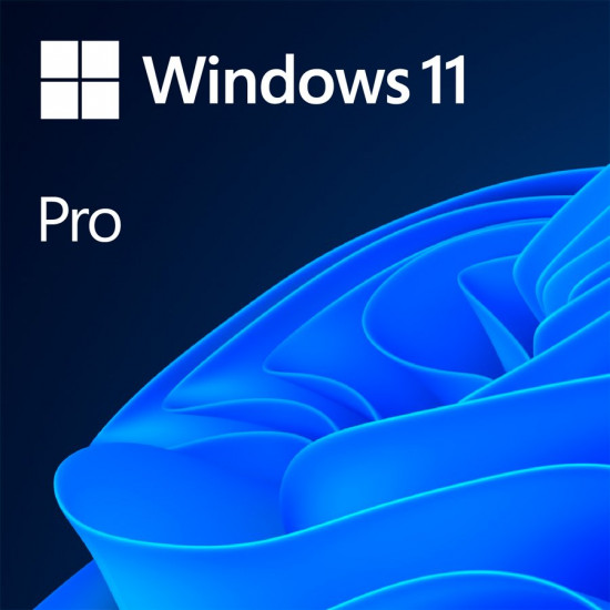 Windows 11 Professional 64Bit English Intl 1pk DSP OEI DVD Windows 11 Professional 64Bit English Intl 1pk DSP OEI DVD
