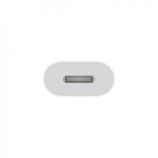 Apple Lightning to USB Cable