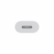 Apple Lightning to USB Cable