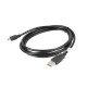 Lanberg USB MINI-B(M) -> USB-A (M) 2.0 cable 1.8m, black (Canon) Lanberg USB MINI-B(M) -> USB-A (M) 2.0 cable 1.8m, black (Canon)