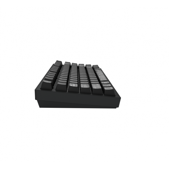 Геймърскa безжична клавиатура Dark Project ALU81A Terra Nova Black RGB Геймърскa безжична клавиатура Dark Project ALU81A Terra Nova Black RGB