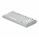 Геймърскa безжична клавиатура Dark Project ALU81A Terra Nova White RGB Геймърскa безжична клавиатура Dark Project ALU81A Terra Nova White RGB
